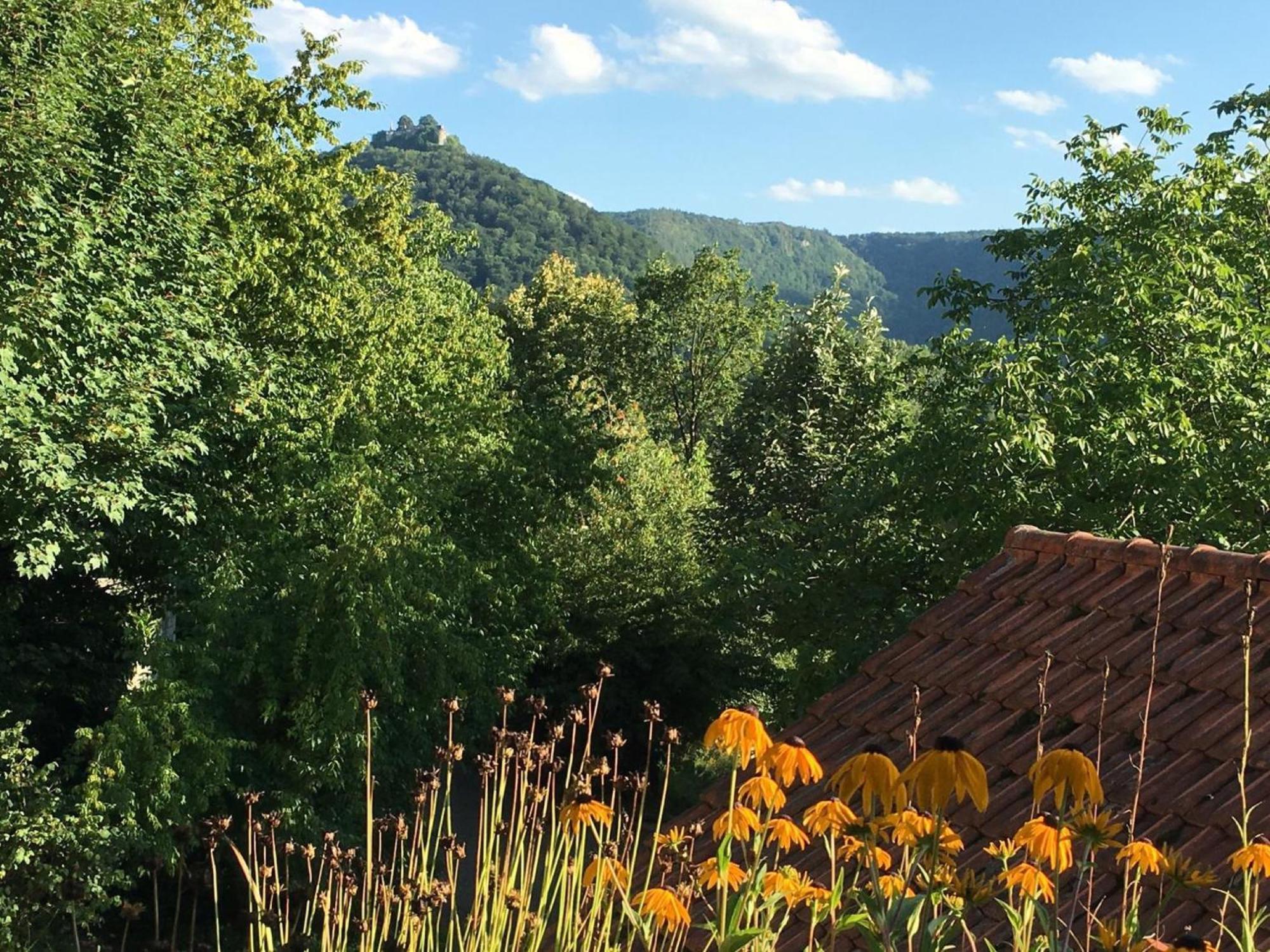 Apartamento Haus Am Sonnenhügel Bad Urach Exterior foto